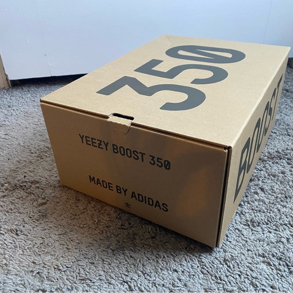 Yeezy - Boost 350 V2 (M 10) - Picture 10 of 12